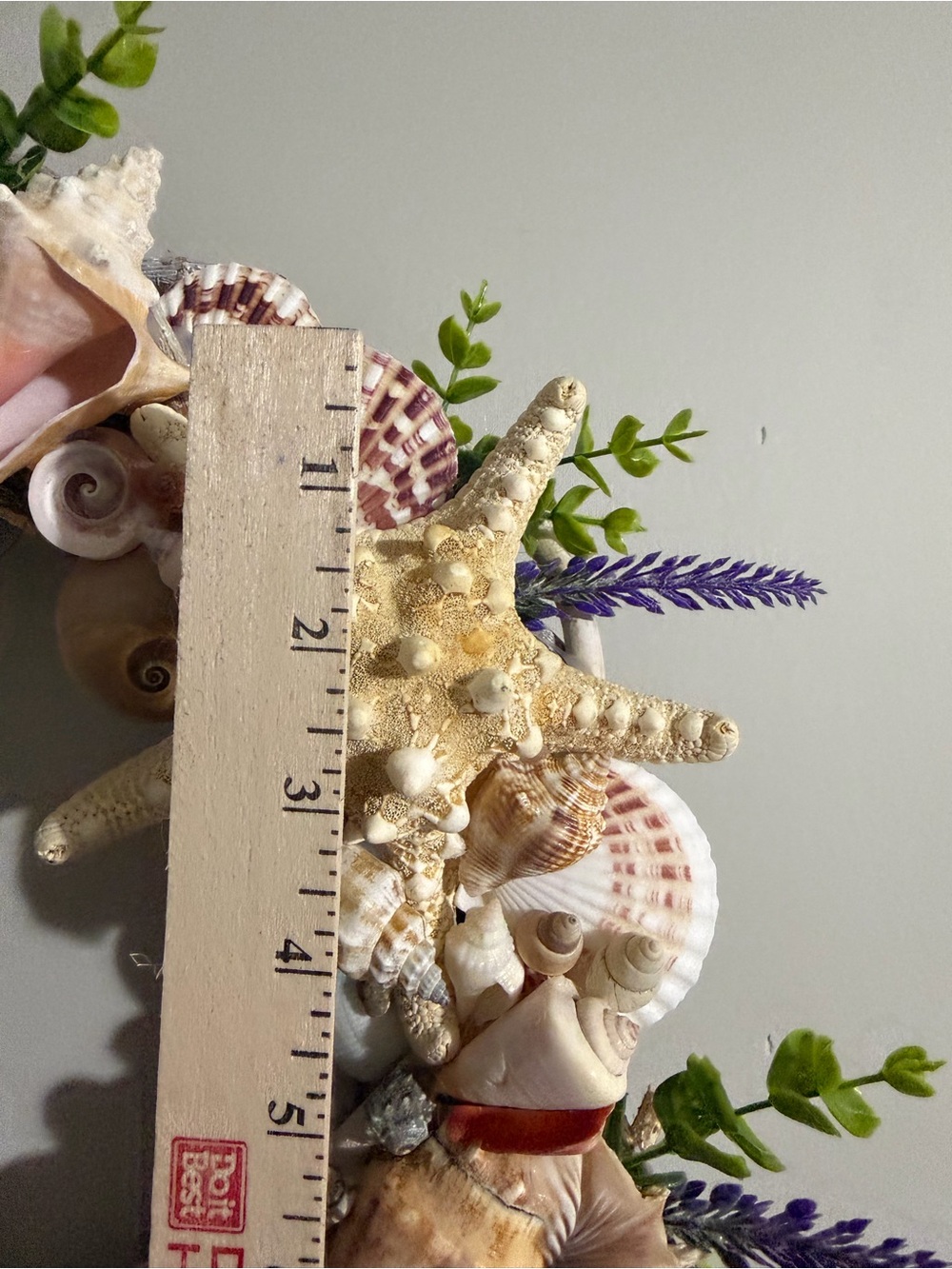 SeaShell Wreath | Coastal Decor | Beach Cottage | Handcrafted - Picture 13 of 15